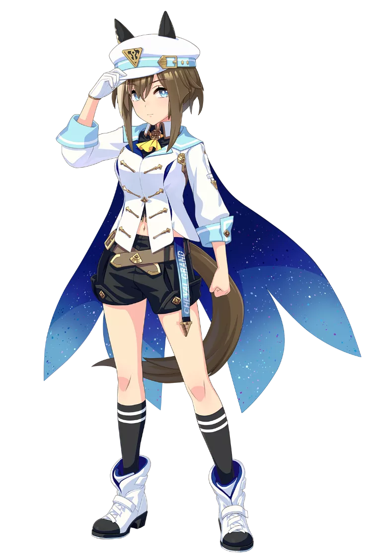 シュヴァルグランの勝負服