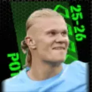 TPアーリングハーランド(09/18)画像