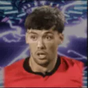 HPアーロンヒッキー(09/22)画像