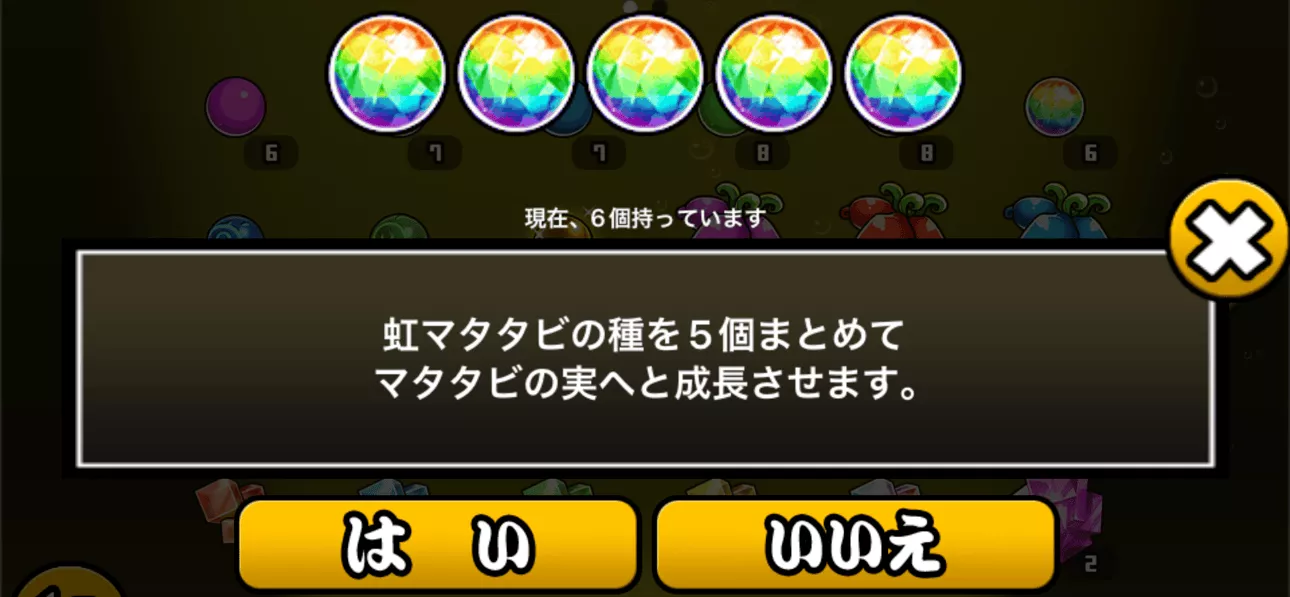 虹マタタビ成長