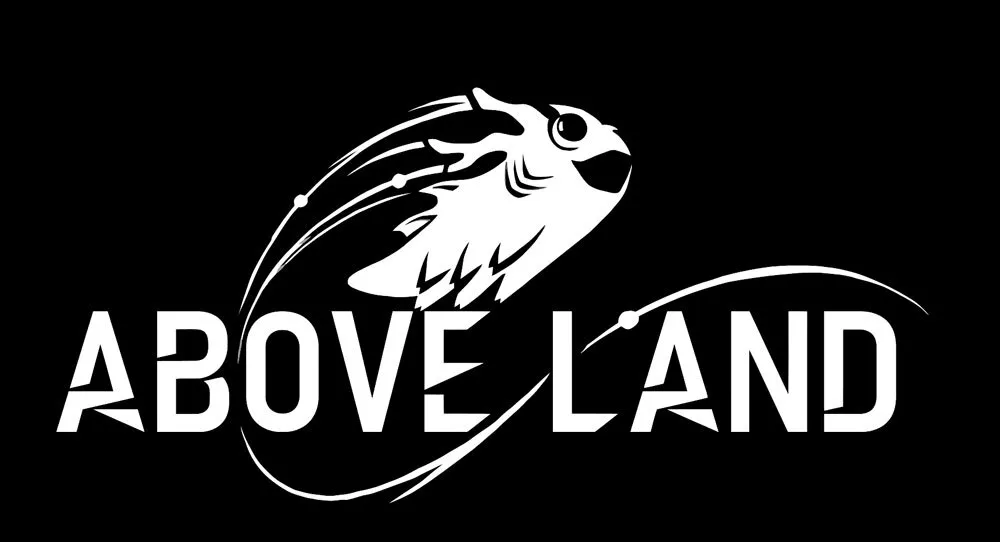 Not An Avocado Studio