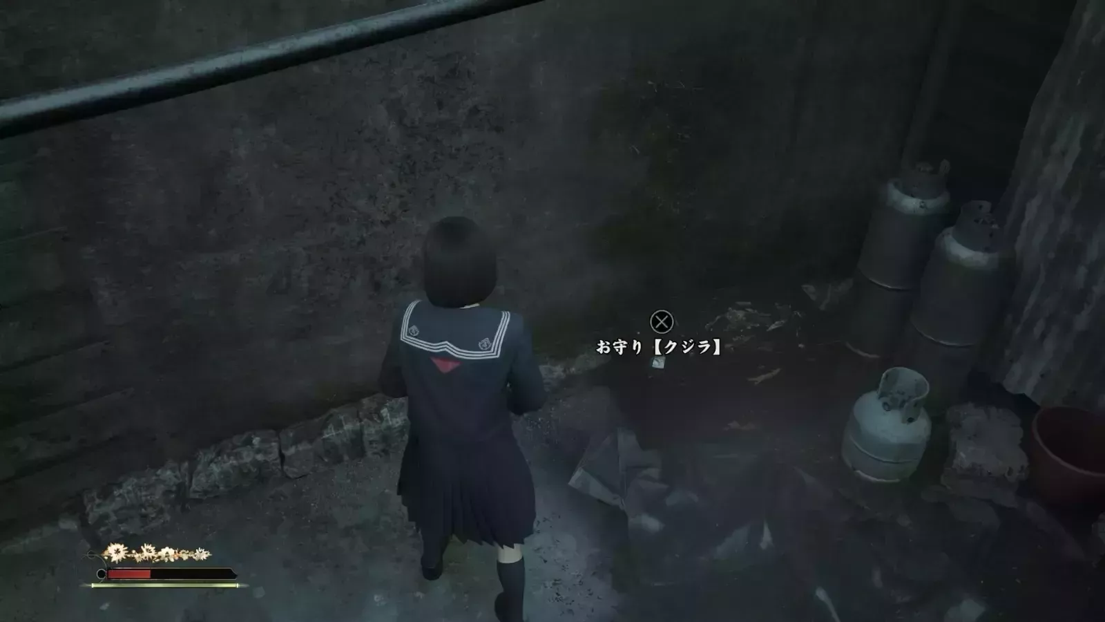 クジラの入手見た目画像