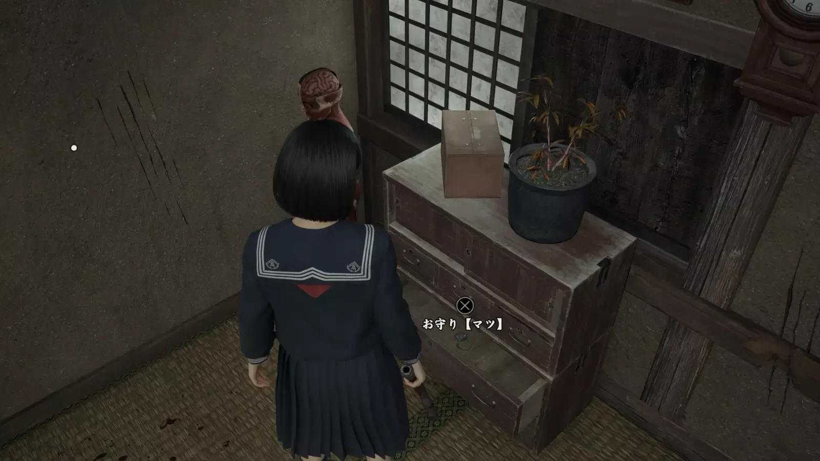 マツの実際の画像