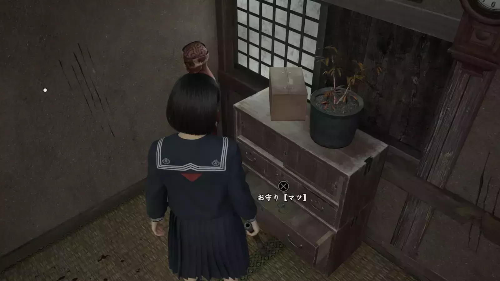 マツの入手見た目画像