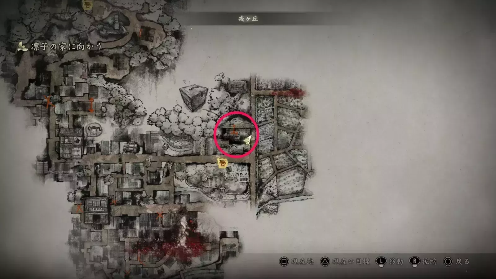 マツの入手場所画像