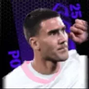 TPドゥシャンヴラホヴィッチ(09/25)画像