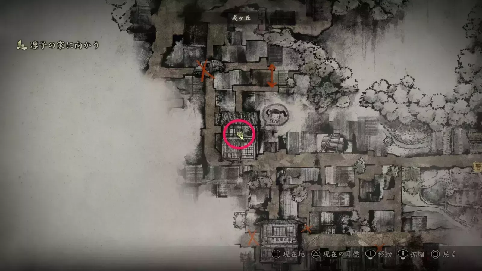 クモの入手場所画像