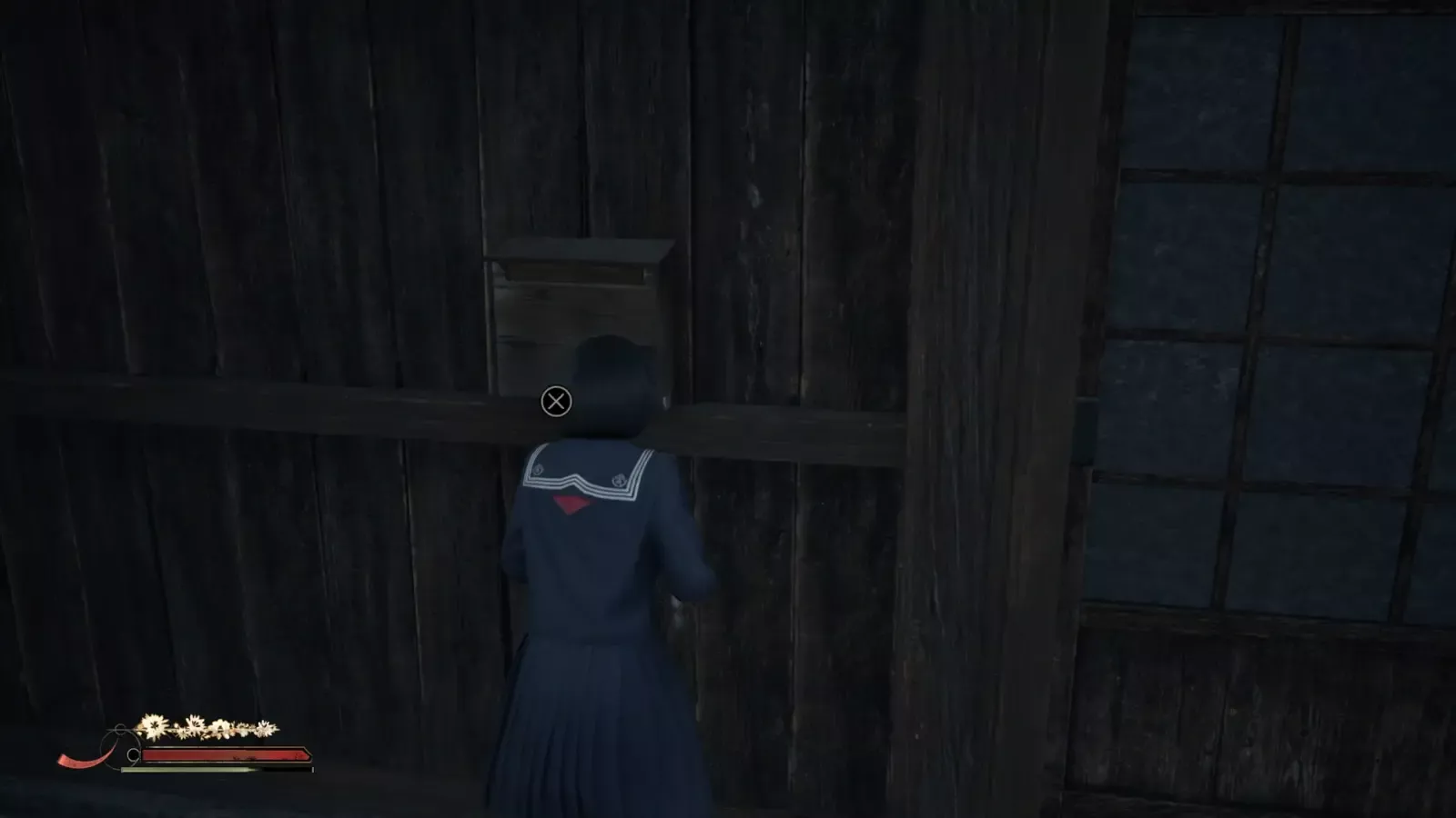 クモの実際の画像