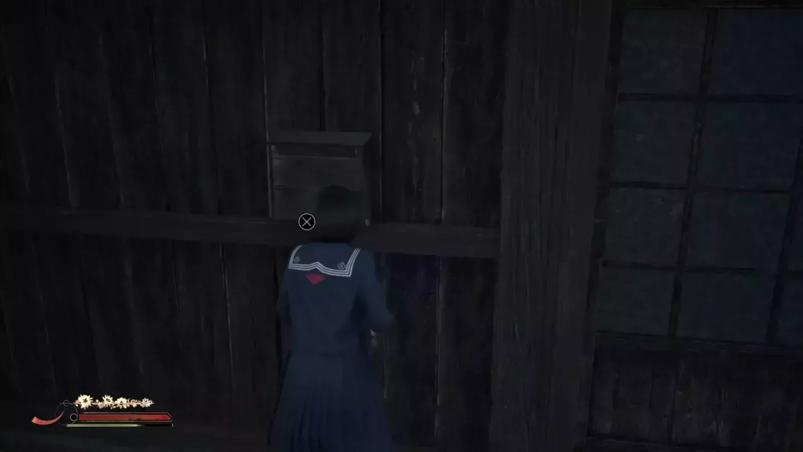 クモの実際の入手画像