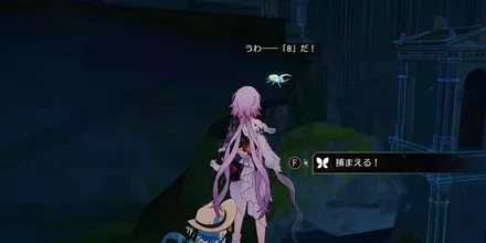神悟の樹庭1