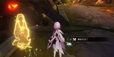 神悟の樹庭19
