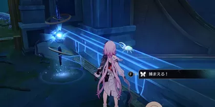 神悟の樹庭2