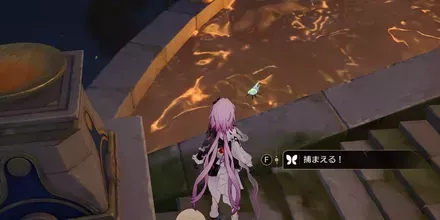 神悟の樹庭5