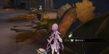 神悟の樹庭14
