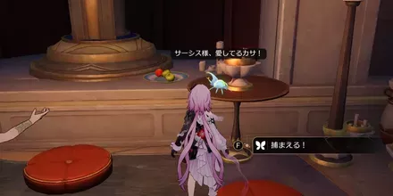 神悟の樹庭16