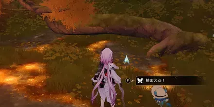 神悟の樹庭20