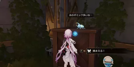 神悟の樹庭9