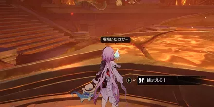 神悟の樹庭10