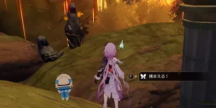 神悟の樹庭6