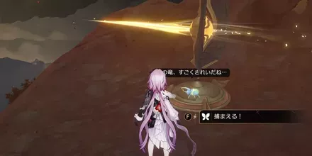 神悟の樹庭4