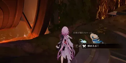 神悟の樹庭11
