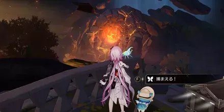 神悟の樹庭15