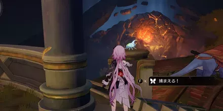 神悟の樹庭12