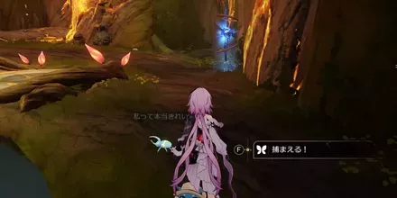 神悟の樹庭17