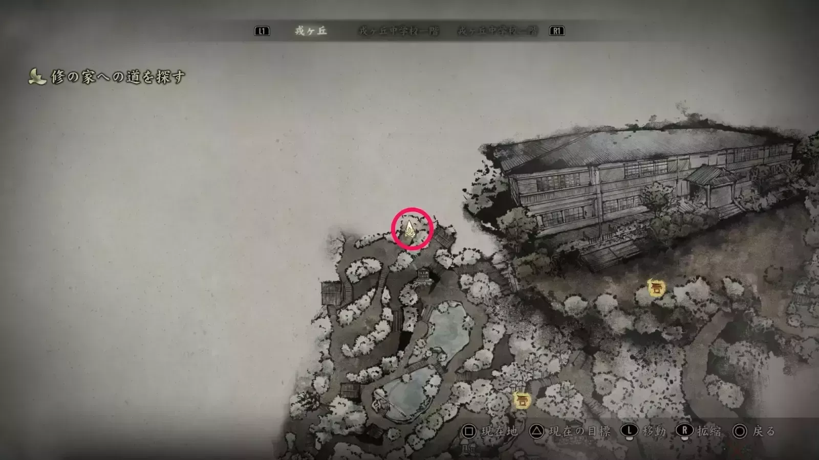 ウマの入手場所画像