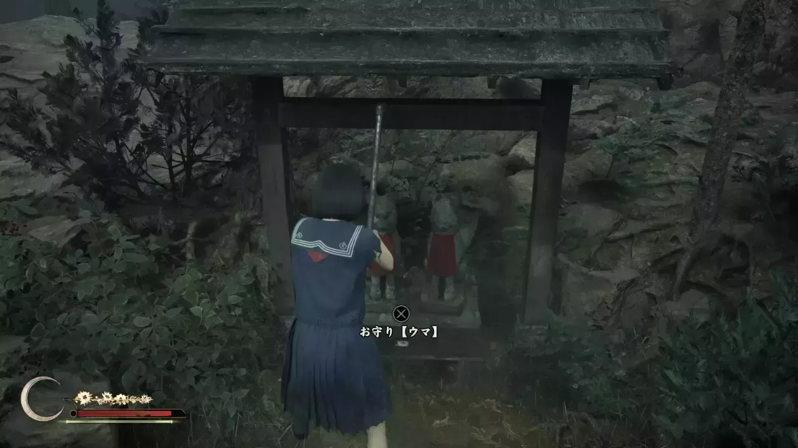 ウマの実際の入手画像