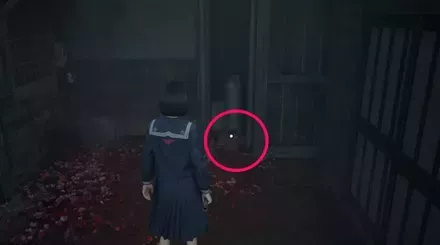 干からびた死骸の実際の入手画像