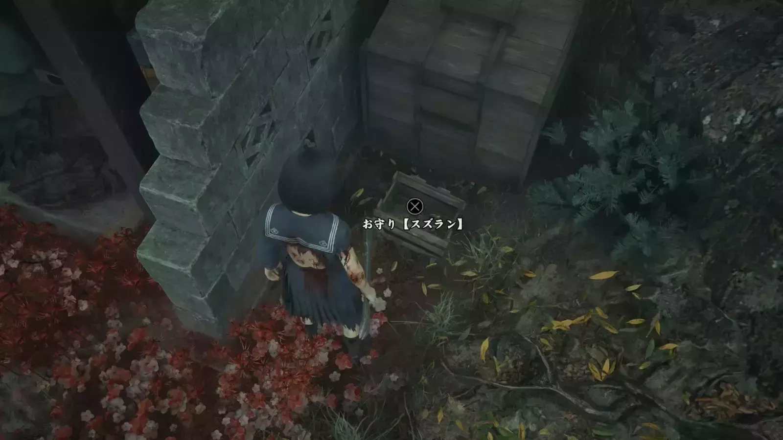 スズランの実際の入手画像