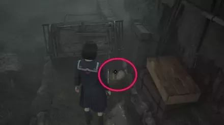 干からびた死骸の実際の入手画像