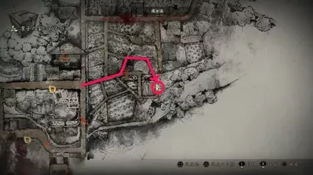 干からびた死骸の入手場所画像