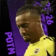 TPアーチーブラウン(09/25)画像