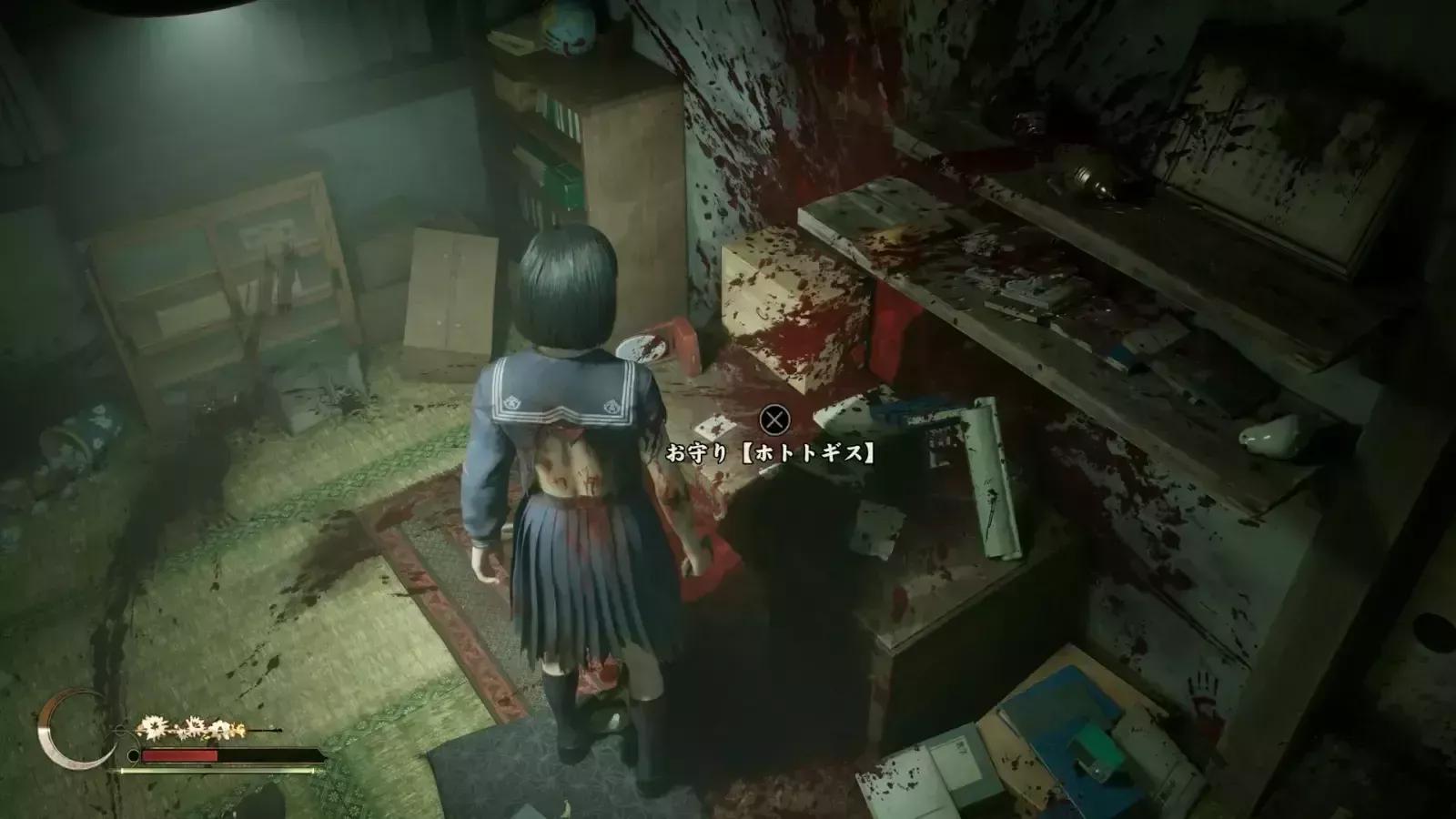 ホトトギスの実際の入手画像