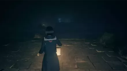 手提げ提灯の実際の入手画像