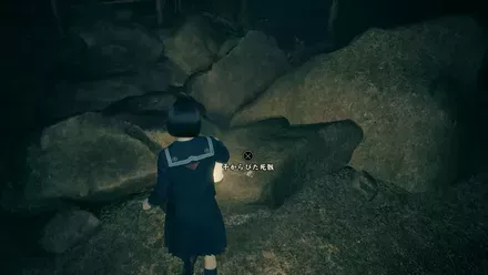 干からびた死骸の実際の入手画像