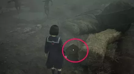 古い櫛の実際の入手画像