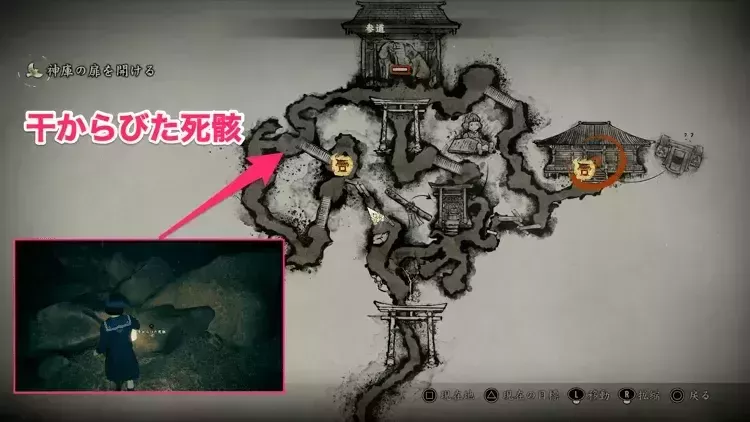 干からびた死骸