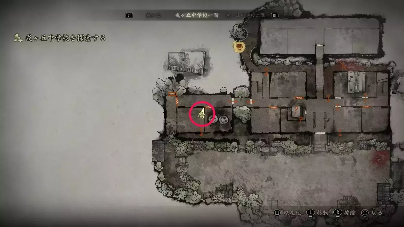 ウサギの入手場所画像