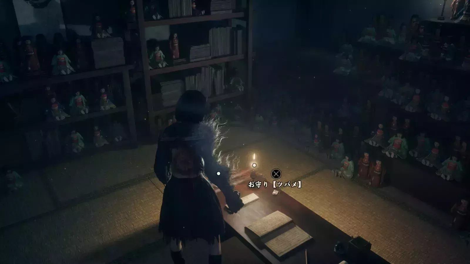 ツバメの実際の入手画像