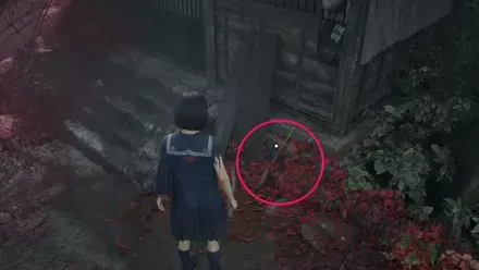 バットの実際の入手画像