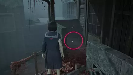 古い櫛の実際の入手画像