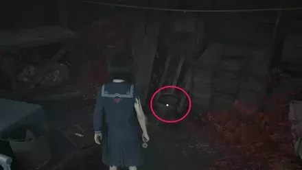 干からびた死骸の実際の入手画像