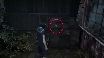 干からびた死骸の実際の入手画像