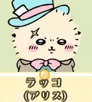 ラッコ（アリス）画像