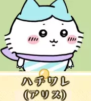 ハチワレ（アリス）画像