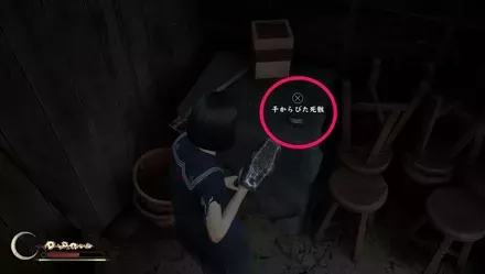 干からびた死骸の実際の入手画像