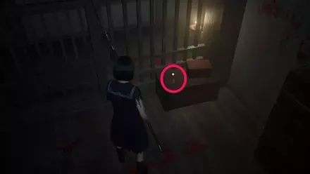 干からびた油揚げの実際の入手画像